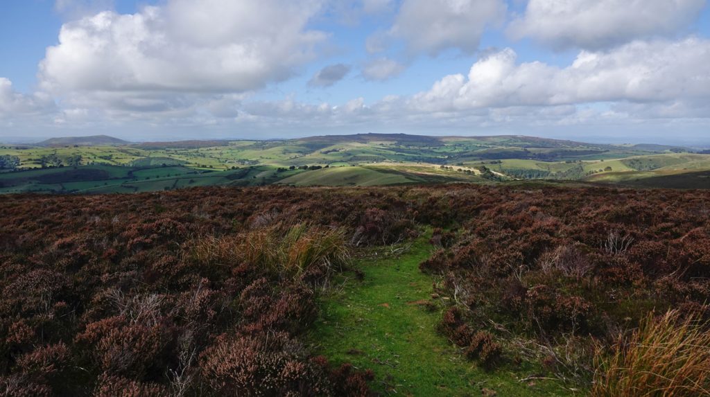 Stiperstones from Long Mynd