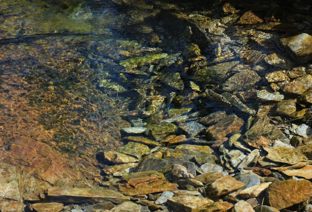 Colours in the stream